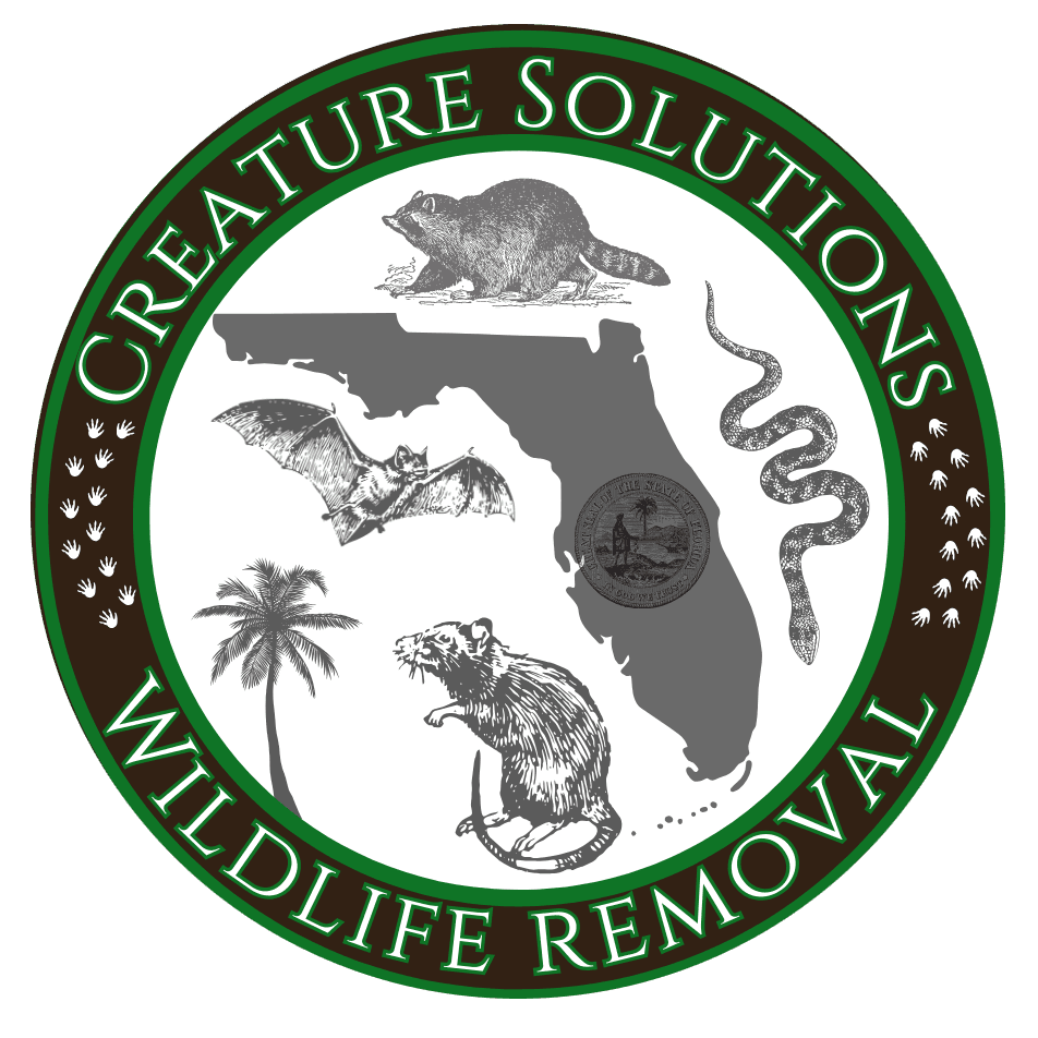 Creature Solutions FL - 24/7 Emergency Wildlife Removal Central Florida