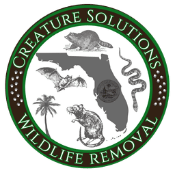Creature Solutions FL - Emergency Wildlife Removal